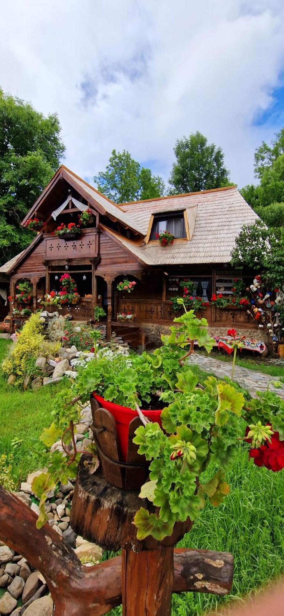 Pensiunea Rustic Oncesti 外观 照片